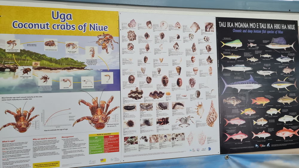 Niue – Departure