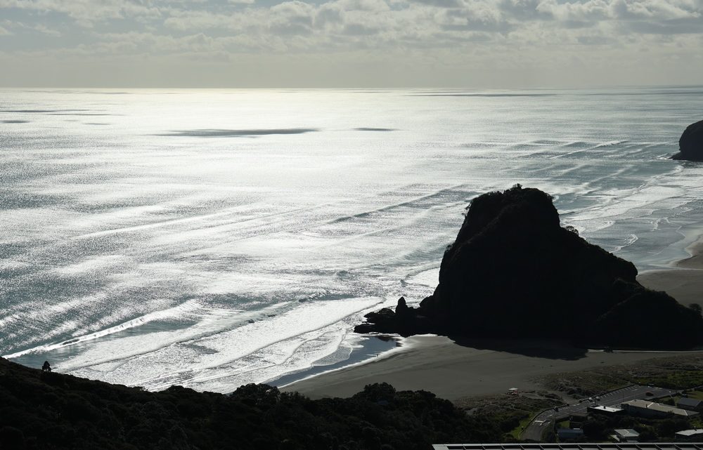 Auckland again – 2