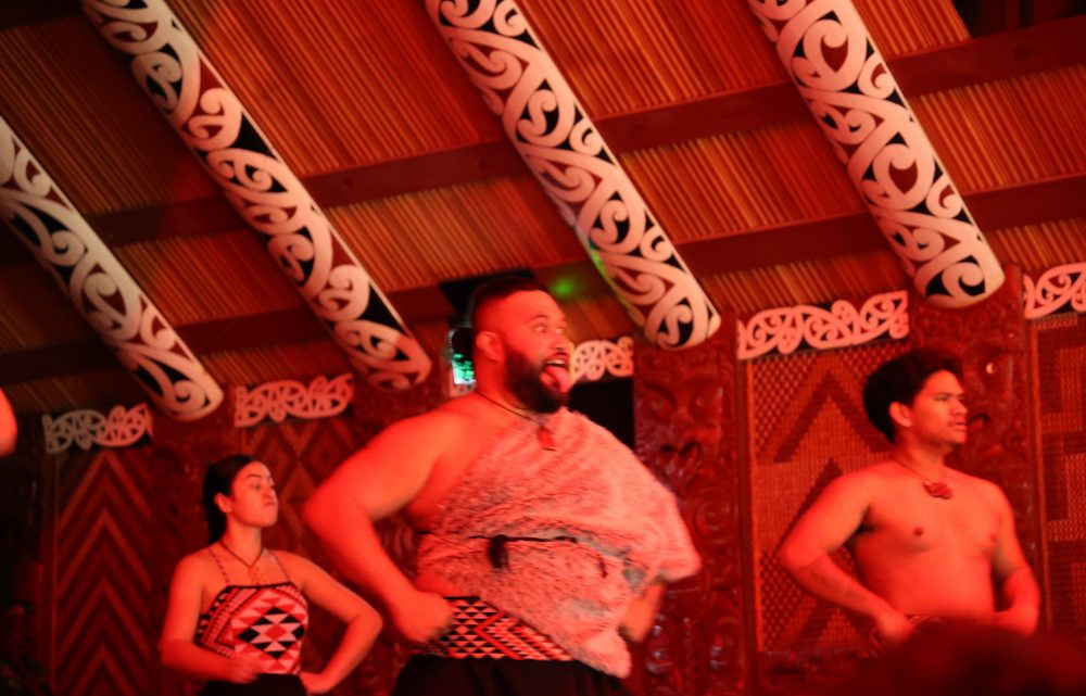 Auckland again – 3