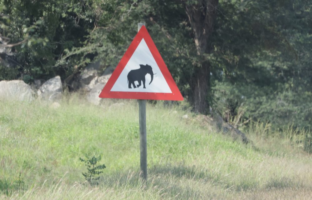 SA-Botswana – along the road