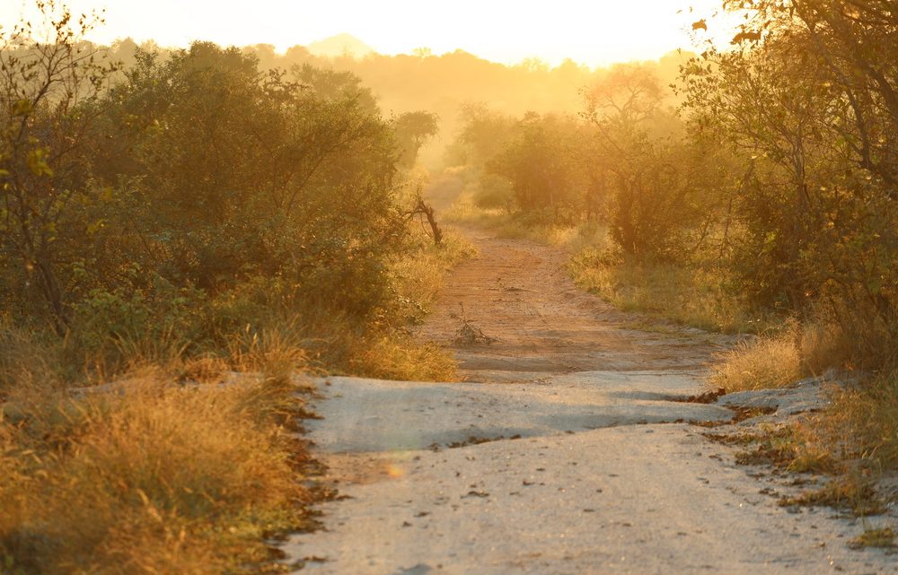 SA-Botswana – day 3 and 4