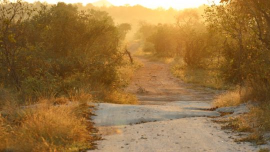 SA-Botswana – day 3 and 4