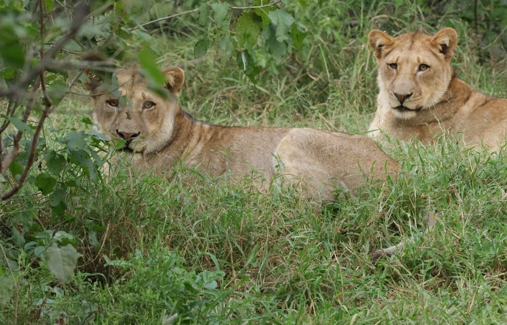 SA-Botswana – day 6